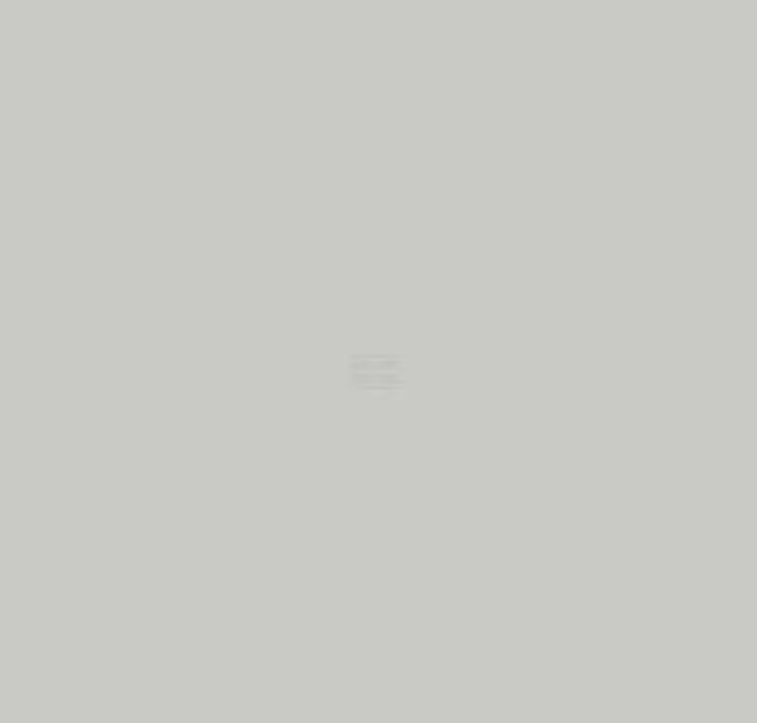 Ford Tractor Grey Paint 1ltr