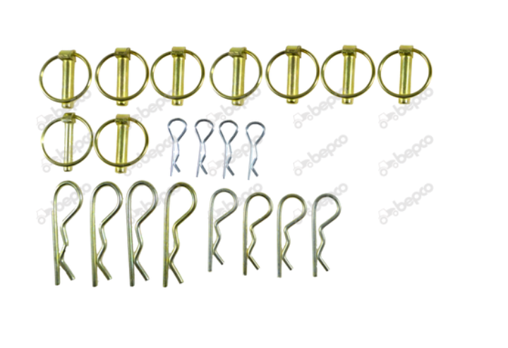  ASSORTMENT LYNCH PINS CLIPS & BETAS - (BL.20PCS)