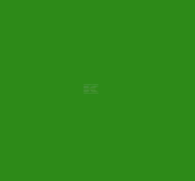 AEROSOL PAINT MCHALE GREEN PAINT (X4) 400ml