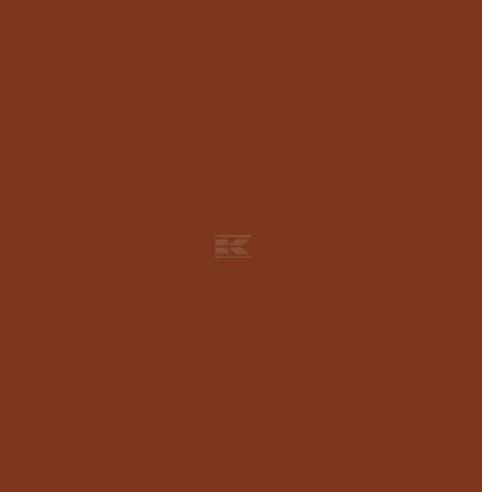 Fiat Brown Paint 1ltr