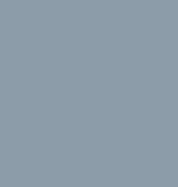 Ferguson T20 Grey Paint 1ltr