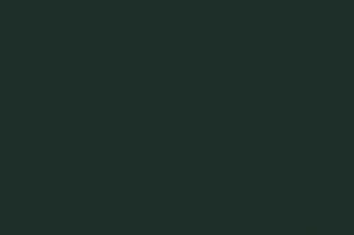 Zetor Dark Green Paint 1ltr