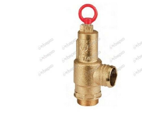 SAFETY VALVE WITH HOSE CONNECTION 1'' 1/4 NET GAS