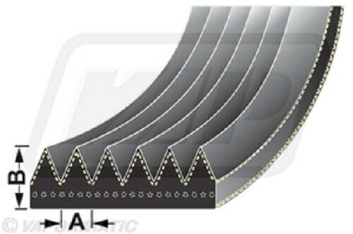Massey Ferguson 5611, 5612, 5613 Fan Belt VPE6415