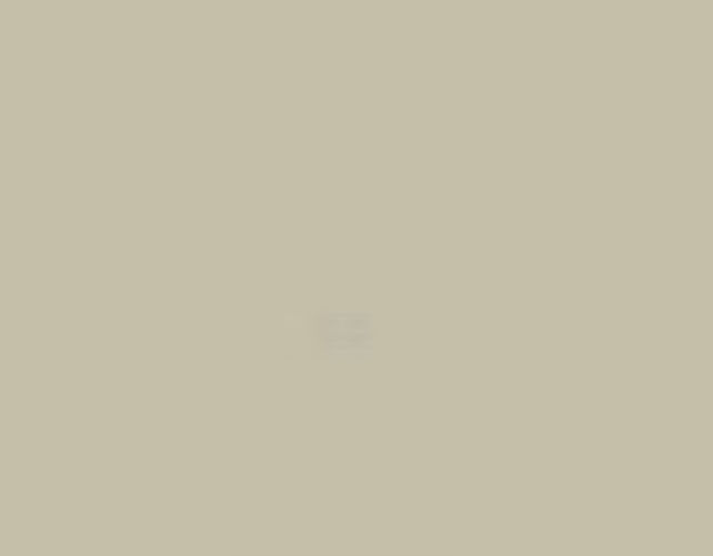 CASE I.H.C. Ivory Paint 1 Ltr