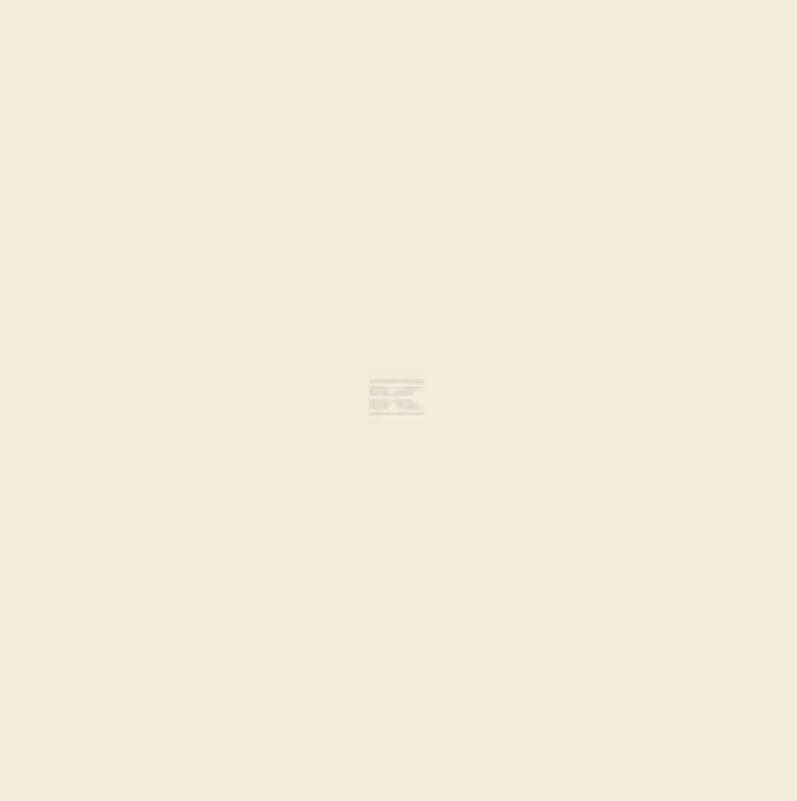 Same Ivory Paint 1ltr