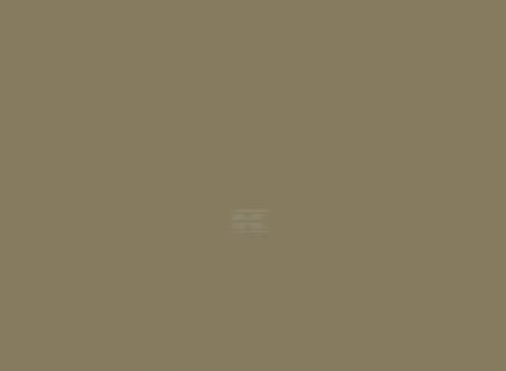 Zetor Beige Metallic Paint 1ltr