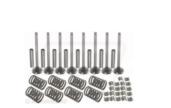For MASSEY FERGUSON 165 Cylinder Head, Valve Train Kit