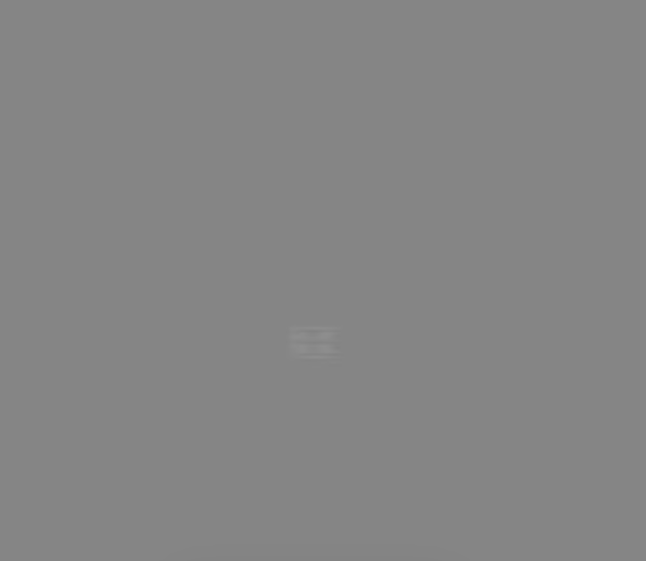 Massey Ferguson Smoke Grey Paint 1ltr