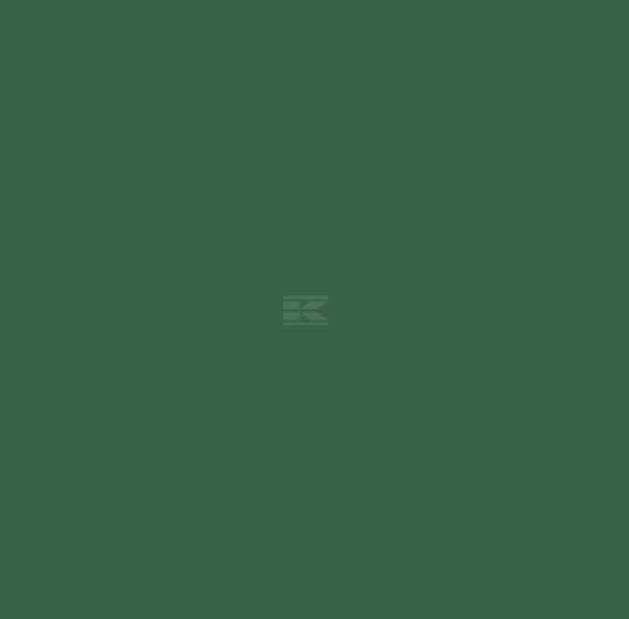 Fendt Green Paint 1ltr