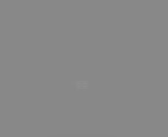 Massey Ferguson New Silver Mist Grey Paint 1ltr
