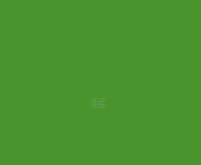 DEUTZ GREEN PAINT from 1975 1 LTR