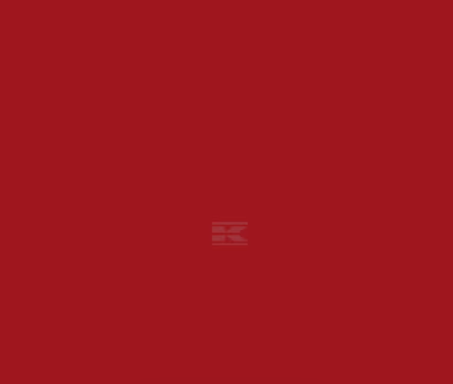 Vicon Red Paint 1ltr