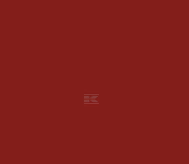 Fiat Terracota Paint 1ltr