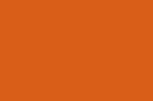Fordson Orange N Paint 1ltr