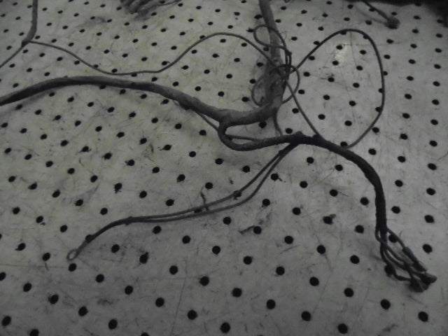 David Brown 1394, 1494 Cab Roof Wiring Loom