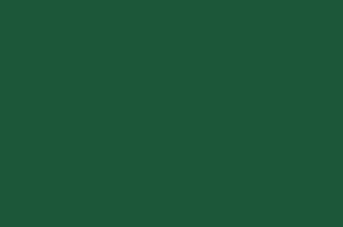 Kverneland Green Paint 1ltr